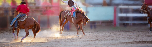 Cowboy Rides A Bucking Horse In Rodeo Event