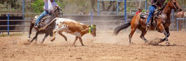 Bir Avustralya Rodeo at Buzağı Roping Yarışması