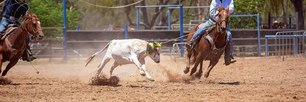 Vitello corda a un rodeo australiano — Foto Stock