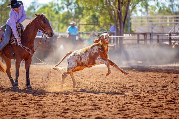 Kalf roping competitie op een Australische Rodeo — Stockfoto