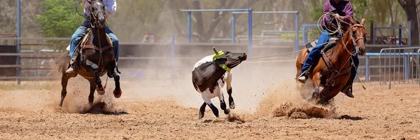 Cielę Roping konkurencji na Australian Rodeo — Zdjęcie stockowe