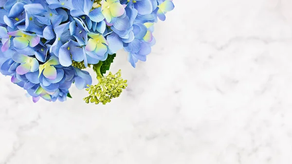 Блакитна квіткова листівка на білому тлі — стокове фото