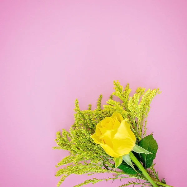 Rosa amarilla en la tarjeta de felicitación de fondo rosa —  Fotos de Stock