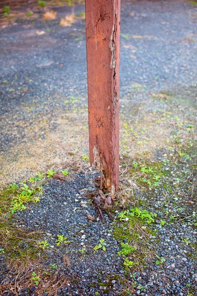 Poste de madeira podre velho — Fotografia de Stock