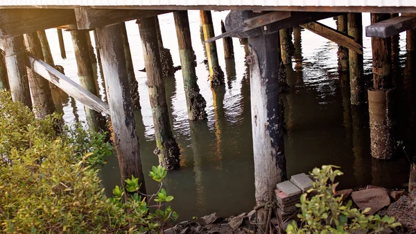 Waterfront piers covered in barnacles — Stock Photo, Image
