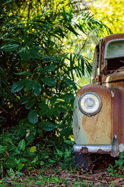 Bir Ormanda Çürüyen Paslı Eski Araba