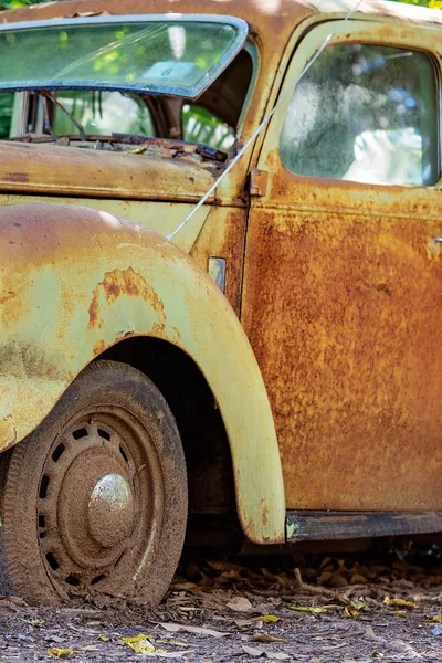 Bir Ormanda Çürüyen Paslı Eski Araba