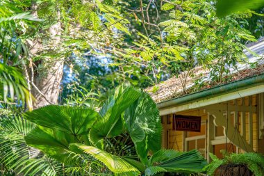 Ev Oluk Yaprakları ve Dalları ile Bloke