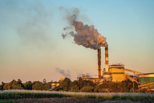 Kırma Mevsimi Sırasında Bir Şeker Fabrikası Rafinerisi Üzerinde Sunset