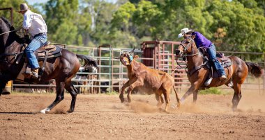 Avustralya takım Calf roping at ülke Rodeo