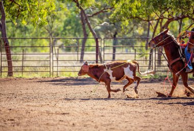 Avustralya takım Calf roping at ülke Rodeo