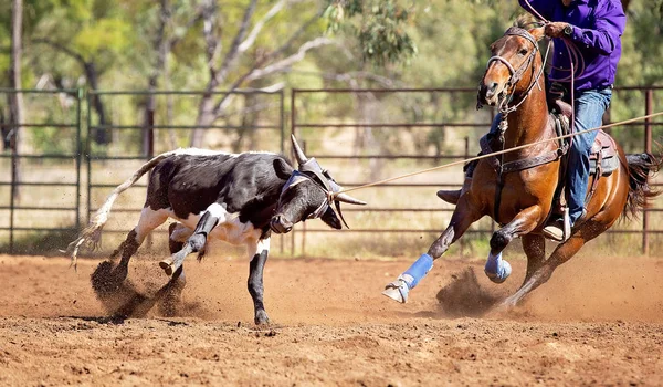 Telete slaňování na australská Country Rodeo — Stock fotografie