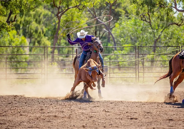 Australian team kalv Roping på Country Rodeo — Stockfoto