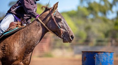 Outback Country Rodeo'da Namlu Yarışında Yarışan Atın Yakın Çekim