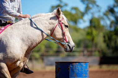 At ve Binici Outback Country Rodeo de Varil Yarışında Yarışıyor