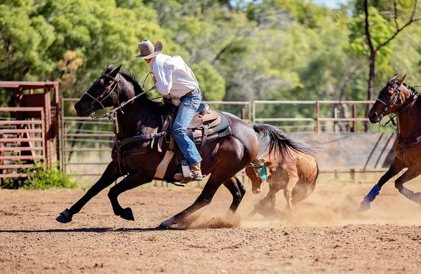 Bezerro Roping em um país australiano Rodeo — Fotografia de Stock