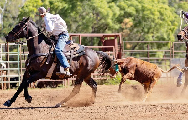 Kalv Roping på en australisk land Rodeo — Stockfoto