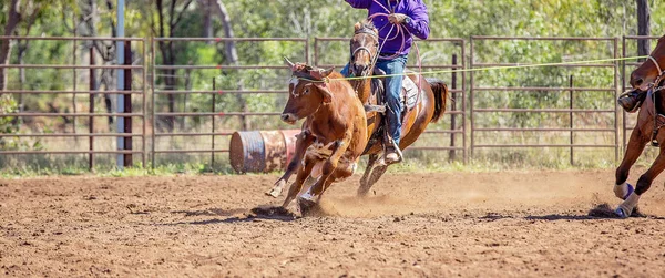 Wadenwickeln bei einem australischen Country-Rodeo — Stockfoto