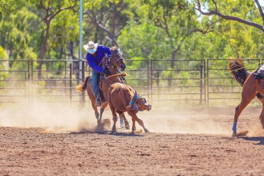 Avustralya takım Calf roping at ülke Rodeo