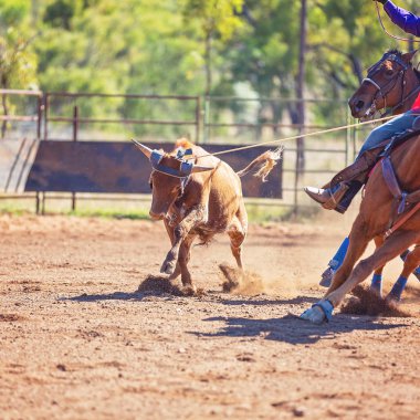 Avustralya takım Calf roping at ülke Rodeo