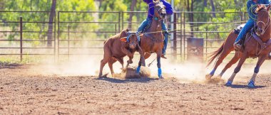Avustralya takım Calf roping at ülke Rodeo
