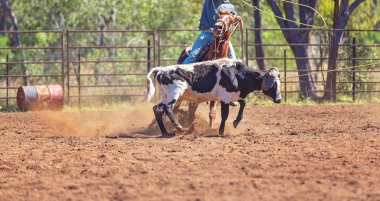 Avustralya takım Calf roping at ülke Rodeo