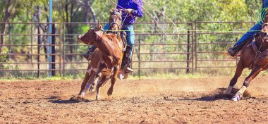 Avustralya takım Calf roping at ülke Rodeo