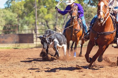 Avustralya takım Calf roping at ülke Rodeo