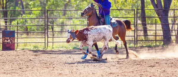 Australisch team kalf roping op land Rodeo — Stockfoto