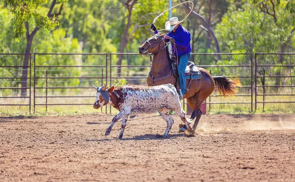 Ausztrál csapat borjú Roping az ország Rodeo — Stock Fotó