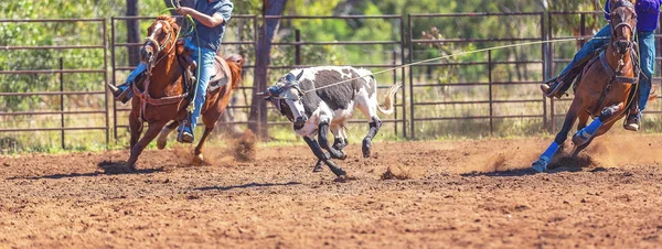 Australisch team kalf roping op land Rodeo — Stockfoto