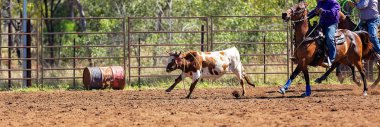 Avustralya takım Calf roping at ülke Rodeo