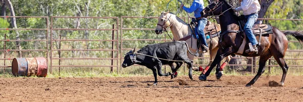 Australijski zespół cielę Roping w kraju Rodeo — Zdjęcie stockowe