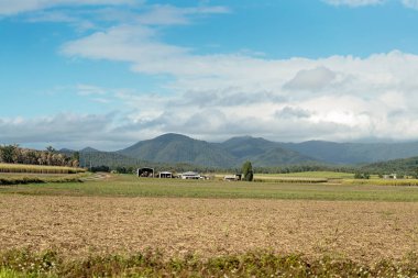 Şeker Kamışı Alanları Ve Homestead Ülke Avustralya
