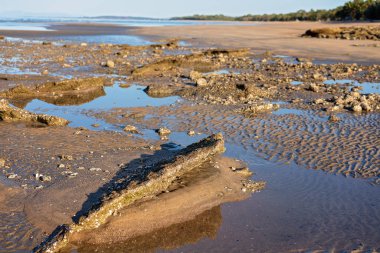 Düşük Gelgit sahilde Kayalar