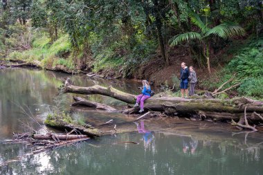 Bir Nehrin Kıyısında Duran İnsanlar Platypus'un Görünmesini İzliyor