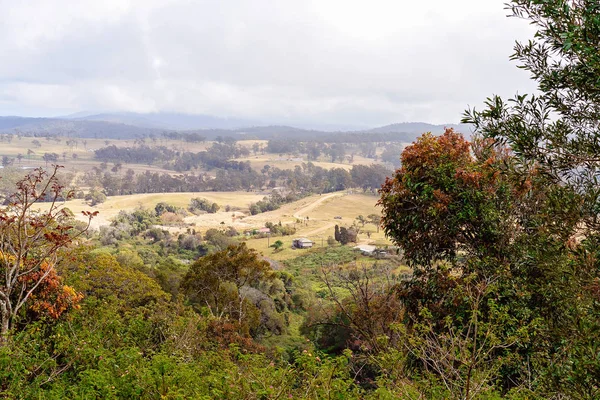 Den rullande kullar av mejeri odling betesmark i Australien — Stockfoto