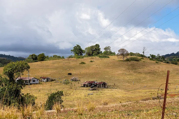 The Rolling Hills Of Dairy Farming Pasture di Australia — Stok Foto