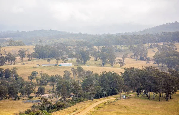 Flygvy över australiska mejeri fastigheter — Stockfoto