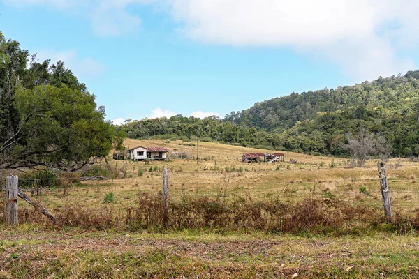 Ruttnande ruiner av gamla hemmanet och skjul på en öde australiska mjölkgård i ekonomisk ruin — Stockfoto