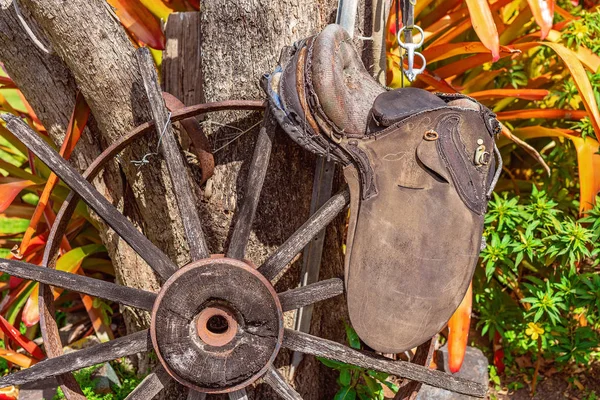 Oude wagon wiel en zadel tuin display — Stockfoto