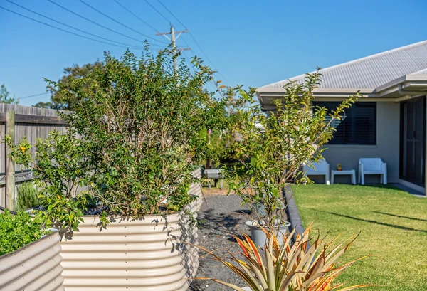 Camas de jardín elevadas en el patio trasero del hogar — Foto de Stock