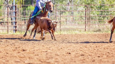 Avustralya takım Calf roping at ülke Rodeo