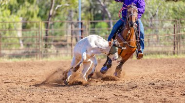 Avustralya takım Calf roping at ülke Rodeo
