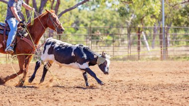Avustralya takım Calf roping at ülke Rodeo