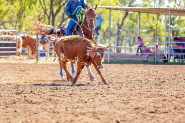 Avustralya takım Calf roping at ülke Rodeo