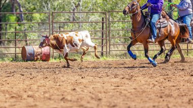 Avustralya takım Calf roping at ülke Rodeo