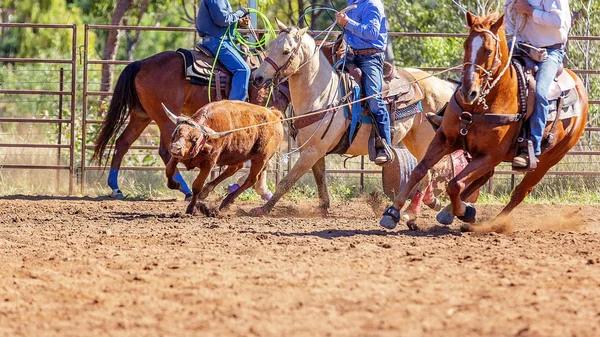 Australisch team kalf roping op land Rodeo — Stockfoto