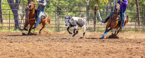 Australisch team kalf roping op land Rodeo — Stockfoto