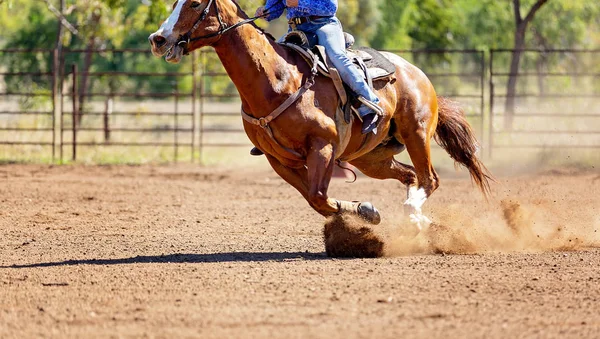Avustralya Ülkesi Rodeo'da Koşan Buzağı